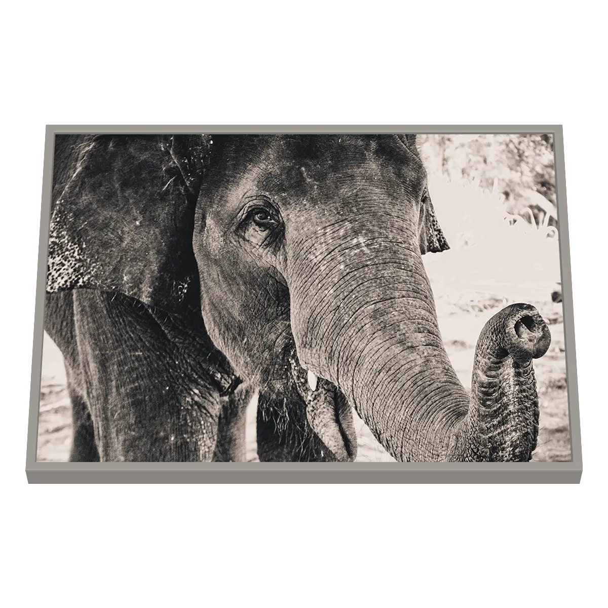 Quadro Decorativo Proteção Maternal - Elefante e Filhote - ANI-0001