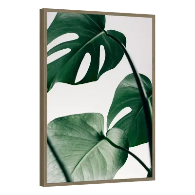 Quadro Decorativo Verdor Tropical