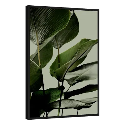 Quadro Decorativo Elegância Tropical