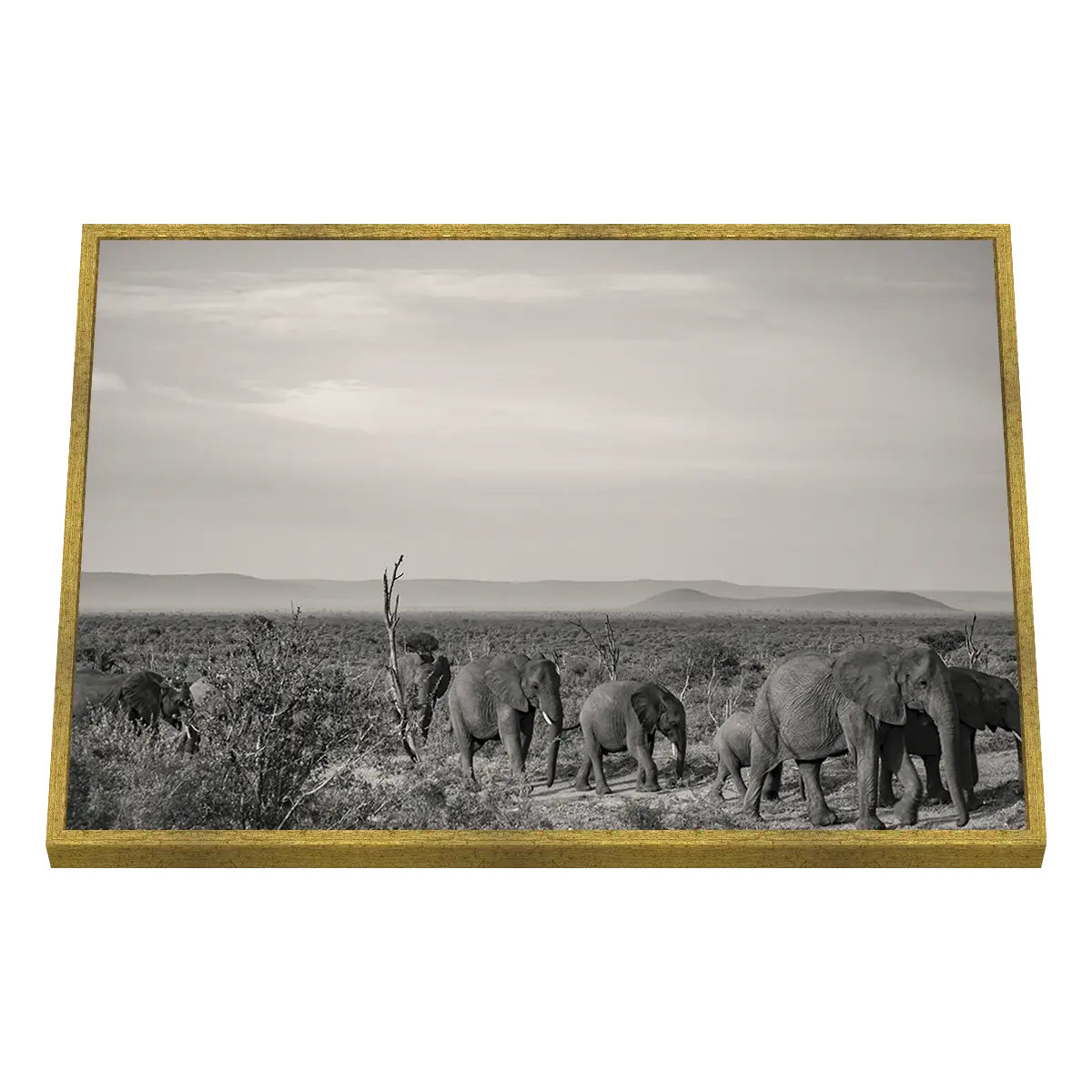 Quadro Decorativo Manada na Savana - ANI-0002