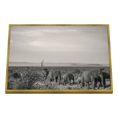 Quadro Decorativo Manada na Savana