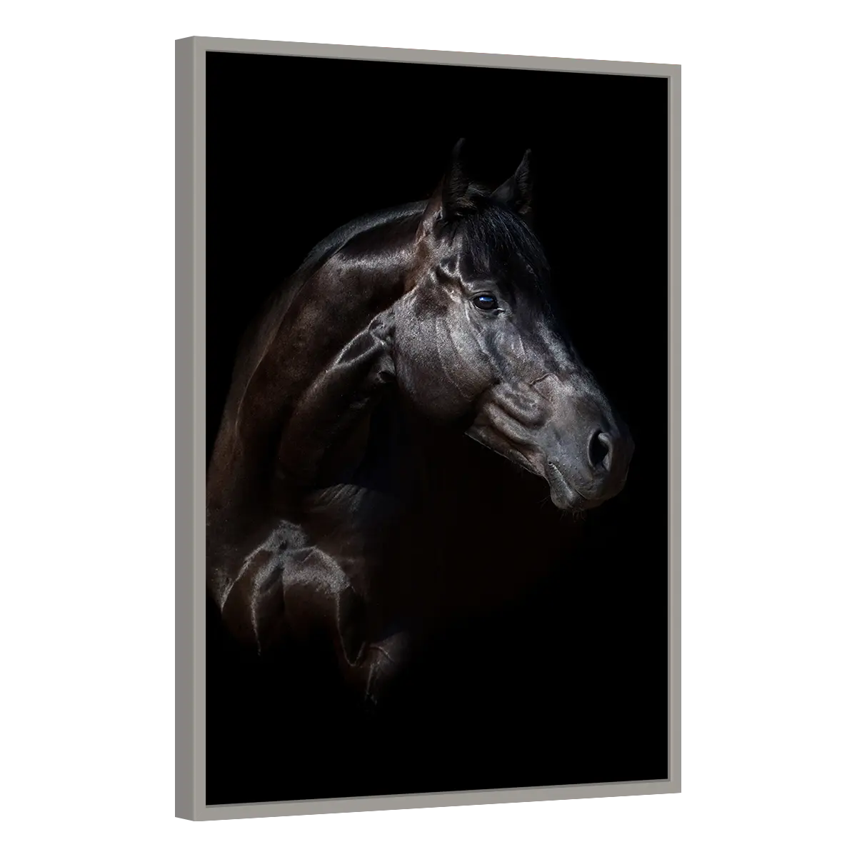 Quadro Decorativo Cavalo Nobre em Perfil - ANI-0006