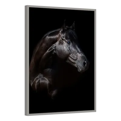 Quadro Decorativo Cavalo Nobre em Perfil