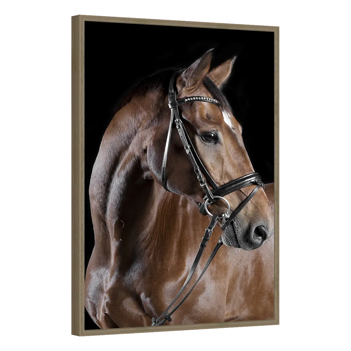 Quadro Decorativo Cavalo Elegância Clássica - ANI-0007