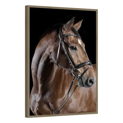 Quadro Decorativo Cavalo Elegância Clássica