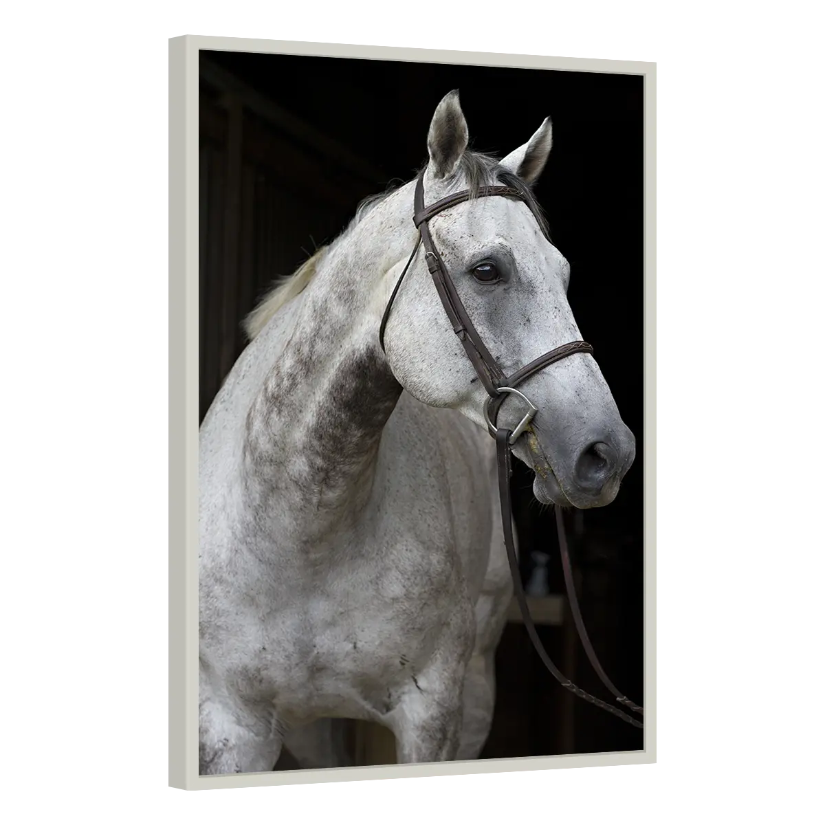 Quadro Decorativo Elegância Equestre - ANI-0008