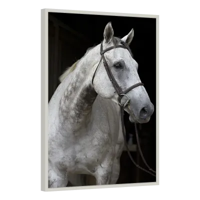 Quadro Decorativo Elegância Equestre