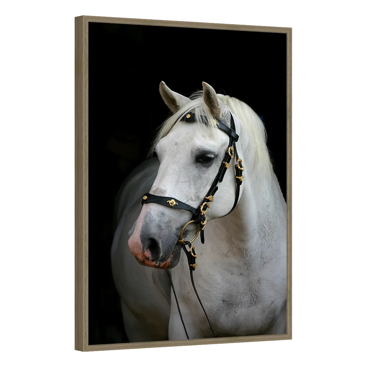 Quadro Decorativo Cavalo Branco Elegância - ANI-0009