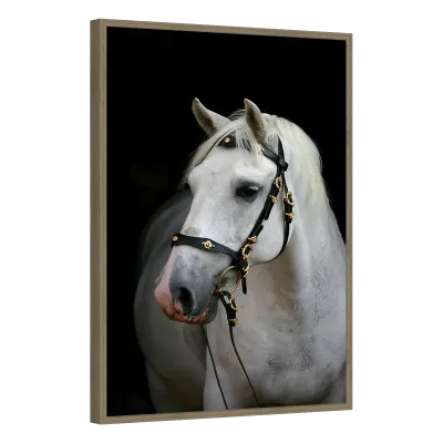 Quadro Decorativo Cavalo Branco Elegância