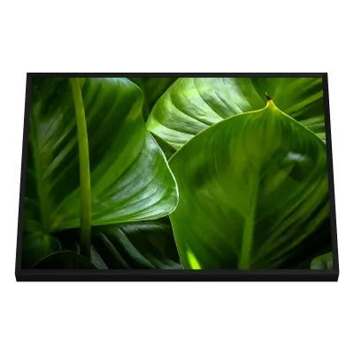 Quadro Decorativo Entrelaço Verdejante Tropical