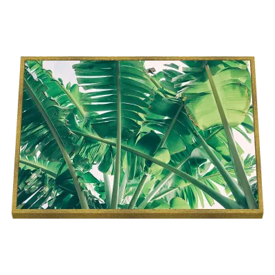 Quadro Decorativo Bananeiras Verdes Tropicais