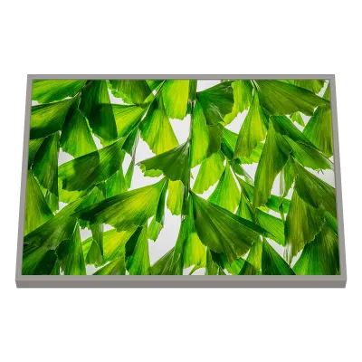 Quadro Decorativo Leque Verde Vibrante