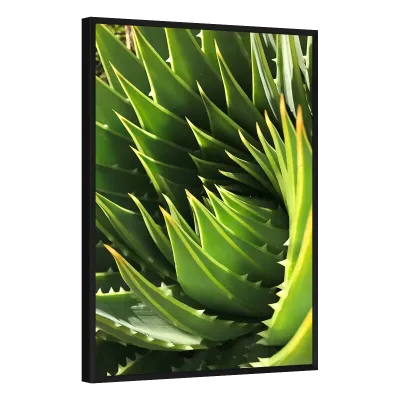 Quadro Decorativo Espiral Dourada de Aloe