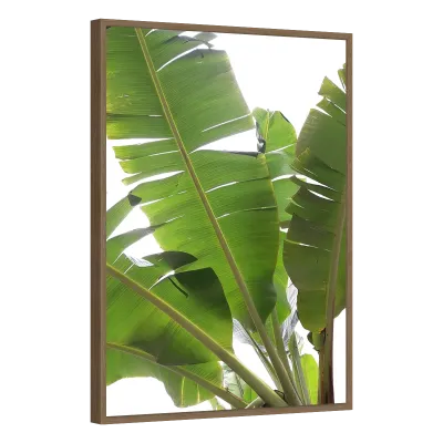 Quadro Decorativo Bananeiras em Luz Solar