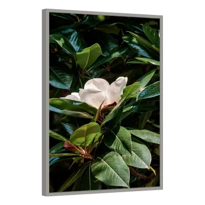 Quadro Decorativo Flor Magnólia Solitária em Verde Intenso