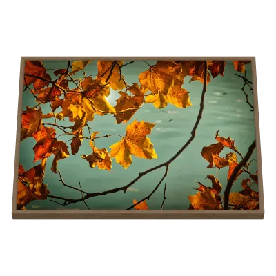 Quadro Decorativo Galhos Dourados ao Entardecer