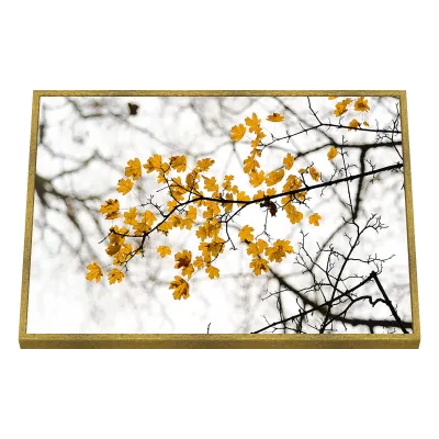 Quadro Decorativo Galhos Dourados ao Céu Branco