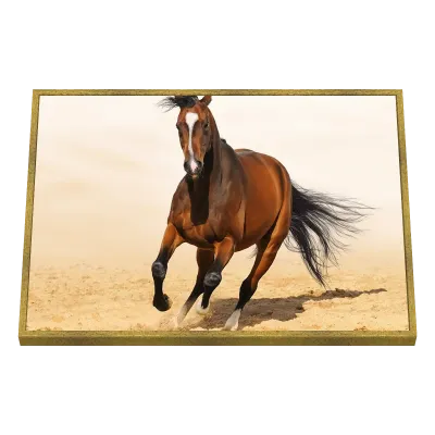 Quadro Decorativo Cavalo Árabe em Liberdade