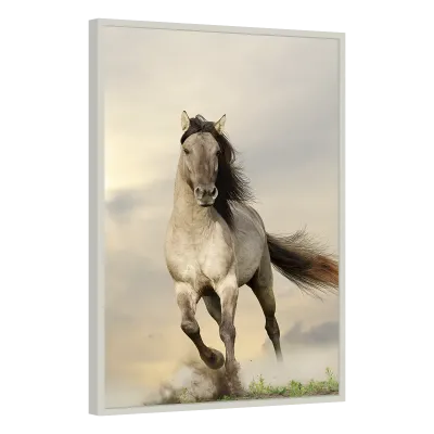 Quadro Decorativo Cavalo Selvagem em Movimento