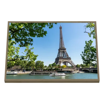 Quadro Decorativo Torre Eiffel Entre Folhagens Verdes