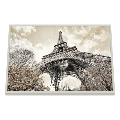 Quadro Decorativo Torre Eiffel Entre Galhos Sepia